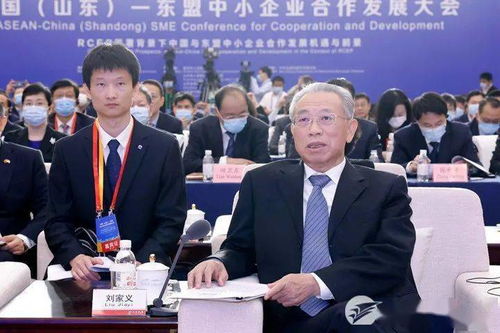 中國山東-東盟中小企業(yè)合作發(fā)展大會在濟開幕，推動軟件應用深化經(jīng)貿(mào)合作